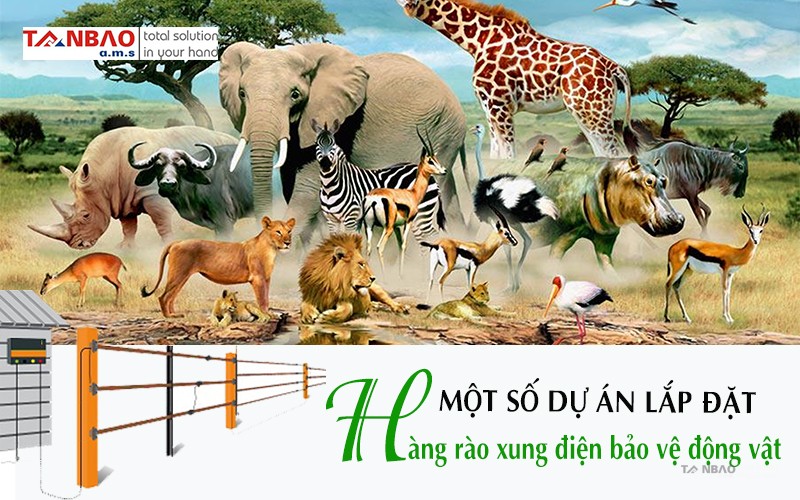 Hàng rào xung điện bảo vệ động vật