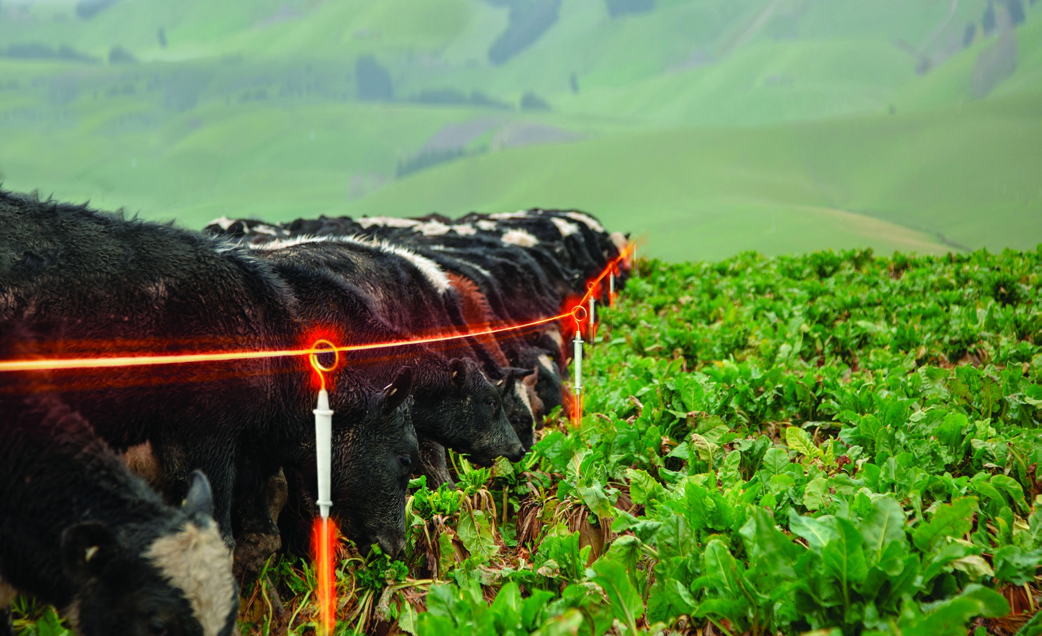 Hàng rào xung điện có đảm bảo an toàn cho người và gia súc?