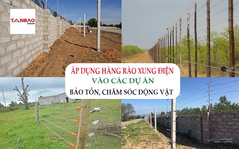 Áp dụng hàng rào xung điện vào các dự án bảo tồn động vật